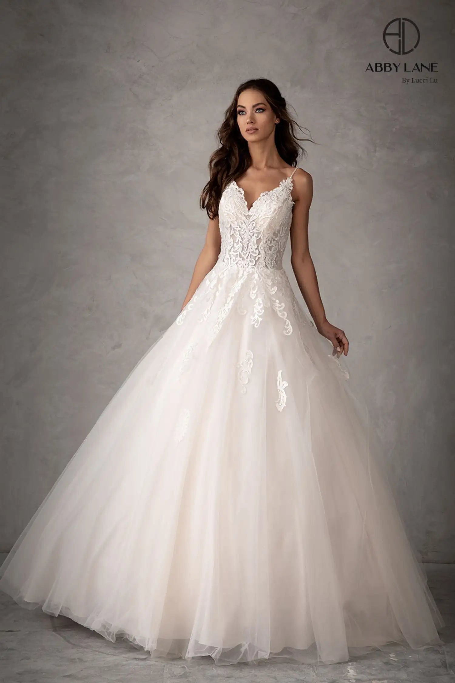 Abby Lane 97103 Lace and Tulle Wedding Dress