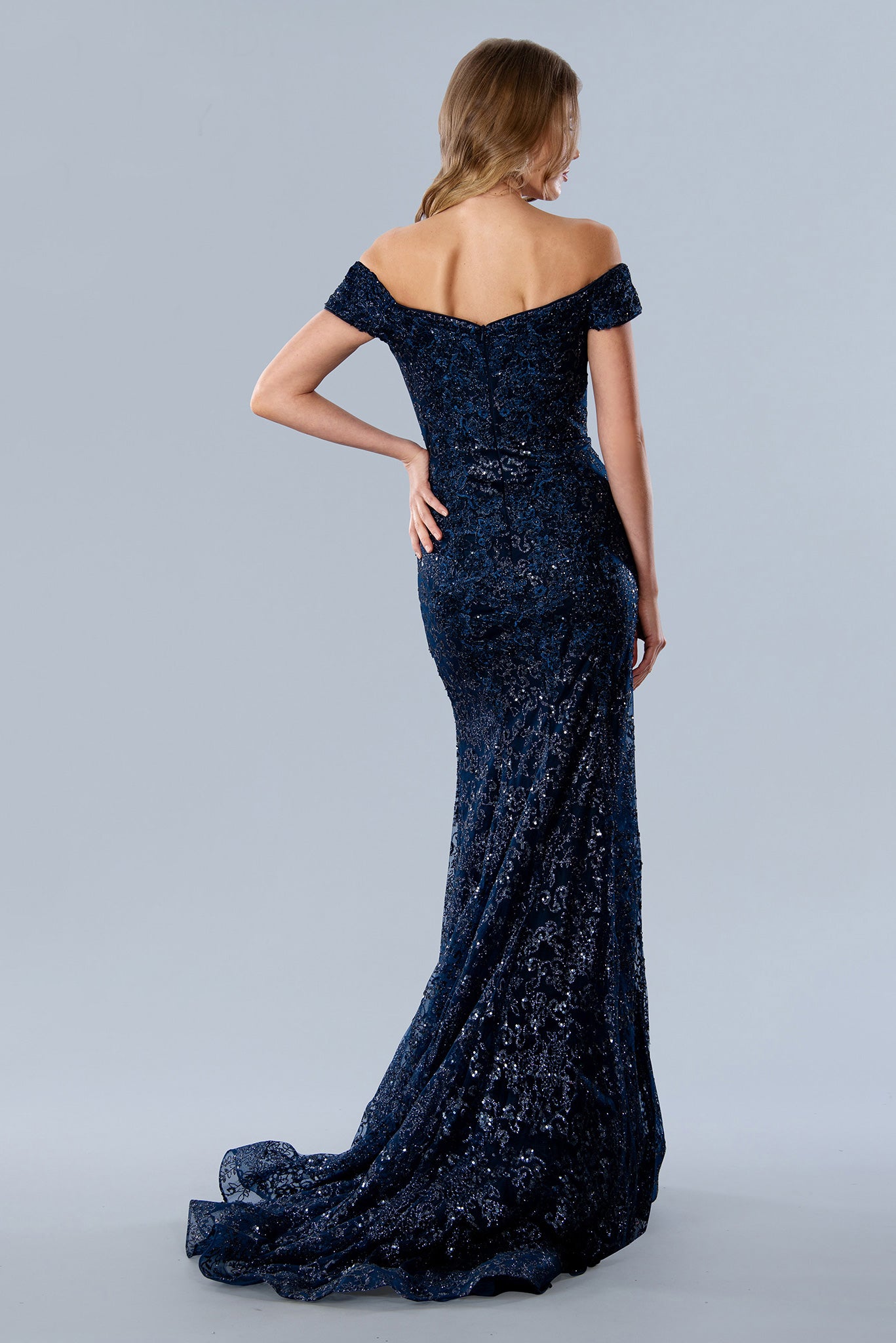 Shimmer glitter dress top