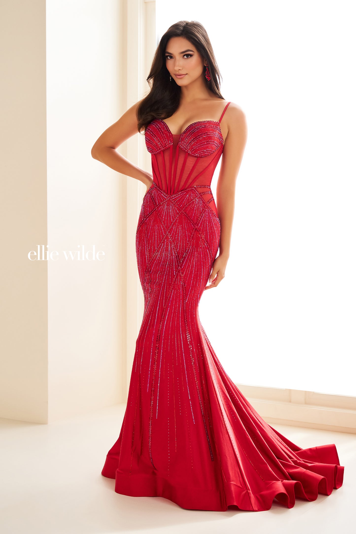 Discover the ultimate in elegance and style with the Ellie Wilde EW36001 Long Sheer Corset Crystal Prom Dress. This stunning gown features a sheer corset bodice with intricate crystal detailing, while the backless design adds a touch of allure. Perfect for your next pageant or prom, this dress will make you feel confident and beautiful all night long.