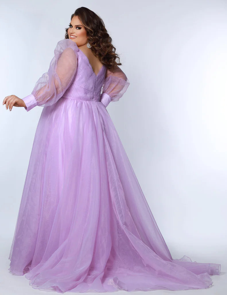 Lavender Plus Size Formal Dresses