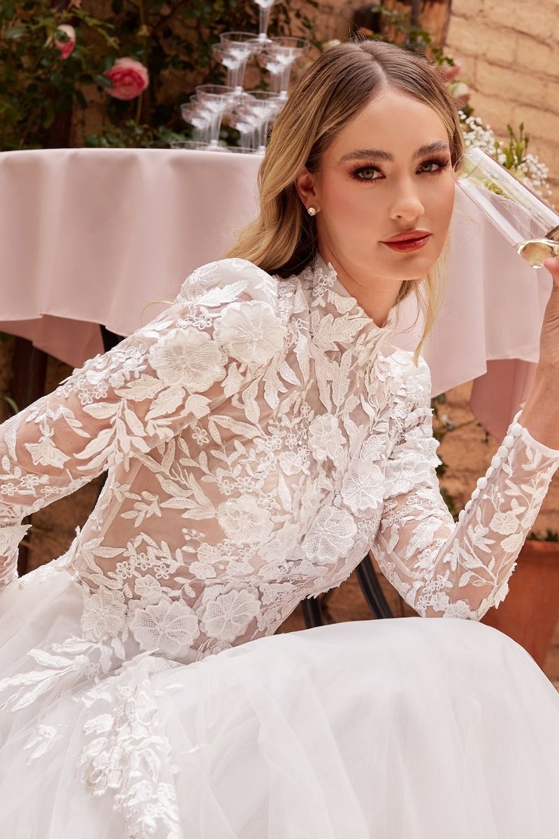 A Line Lace Wedding Dresses Applique Beading Long Sleeve Lace Up Bride Dress  Cathedral Train Bridal Gown Plus Size (Color : White, US Size : 10) :  : Clothing, Shoes & Accessories