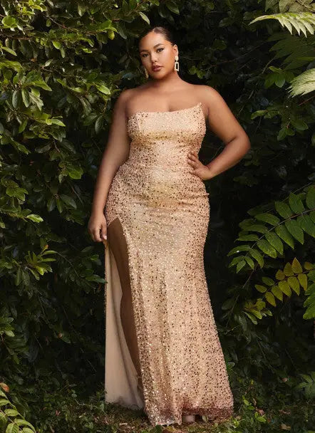 Plus Size Cinderella Prom Dress