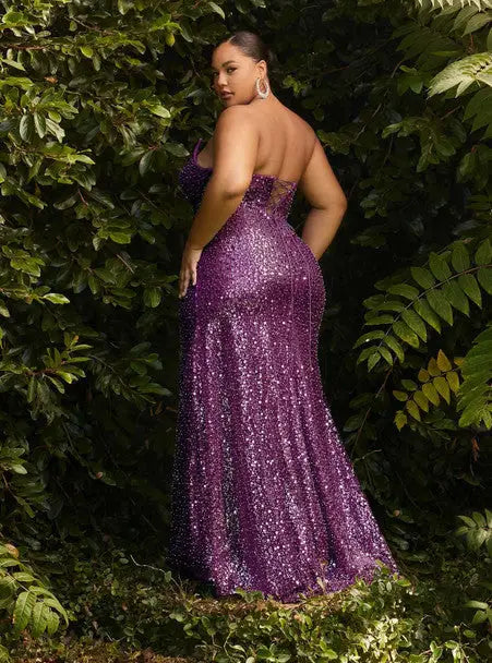 Plus Size Cinderella Prom Dress