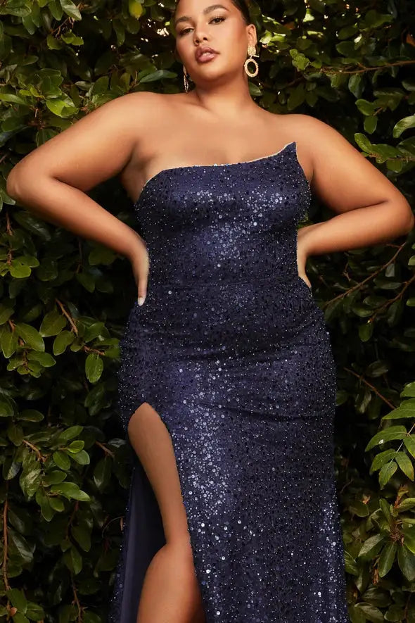 Plus Size Cinderella Prom Dress