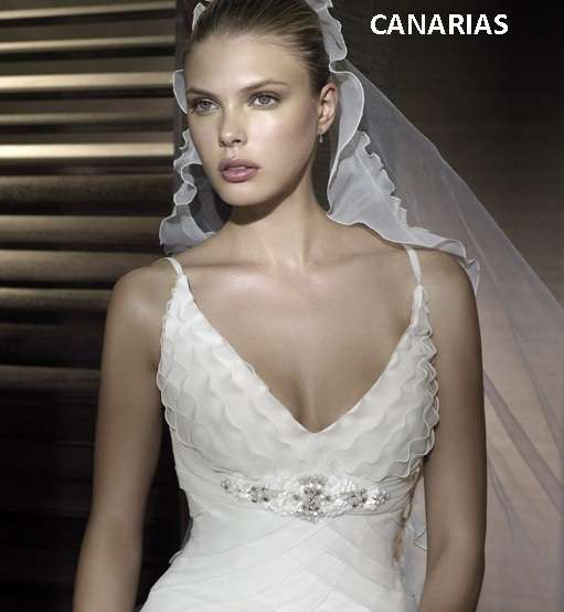 Pronovias Wedding Dresses 2010 Collection