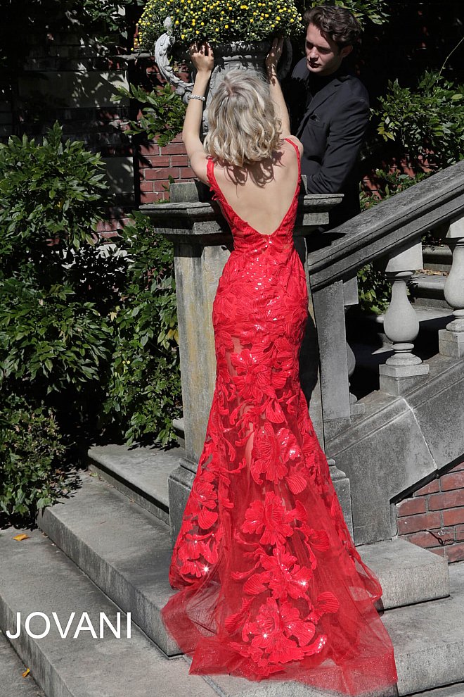 Red mesh 2024 prom dress