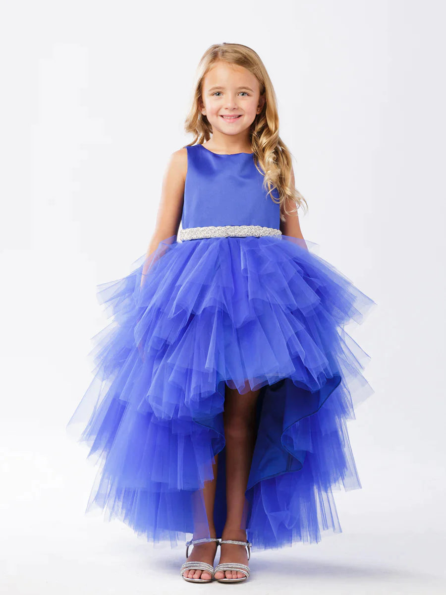 High Low Tutu Dress